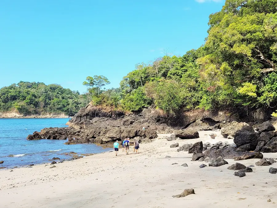 A tropical beach with turquoise water and rainforest in Costa Rica