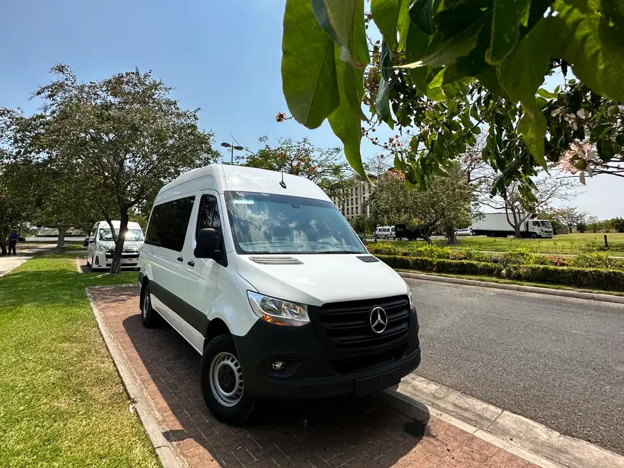 A white Mercedes-Benz Sprinter from our fleet parked among trees